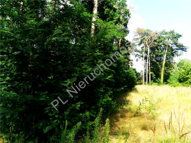 Działka budowlana Międzyborów