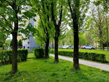 Mieszkanie Bielsko-Biała