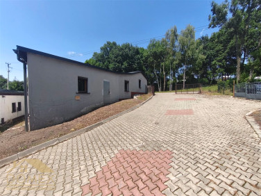 Lokal Wodzisław Śląski wynajem