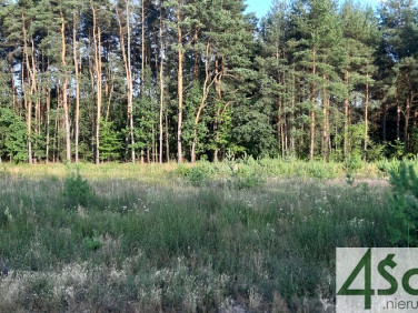 Działka budowlana Marynin