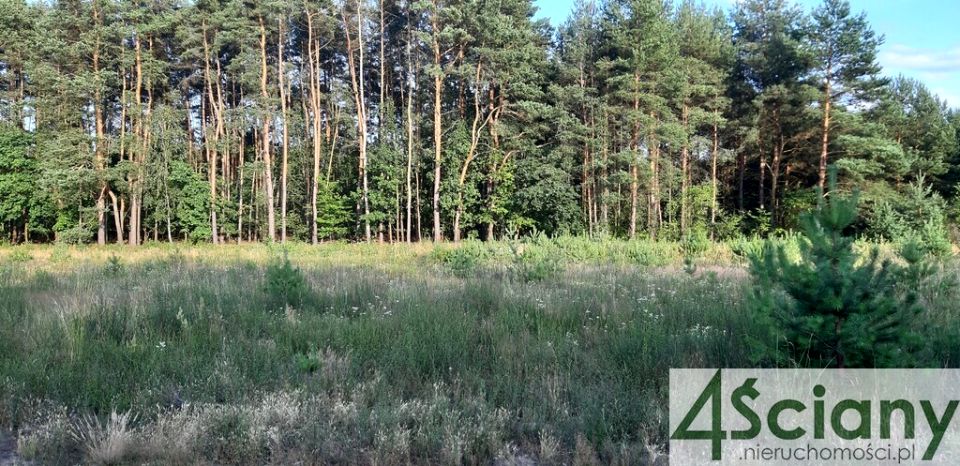 Działka budowlana Marynin