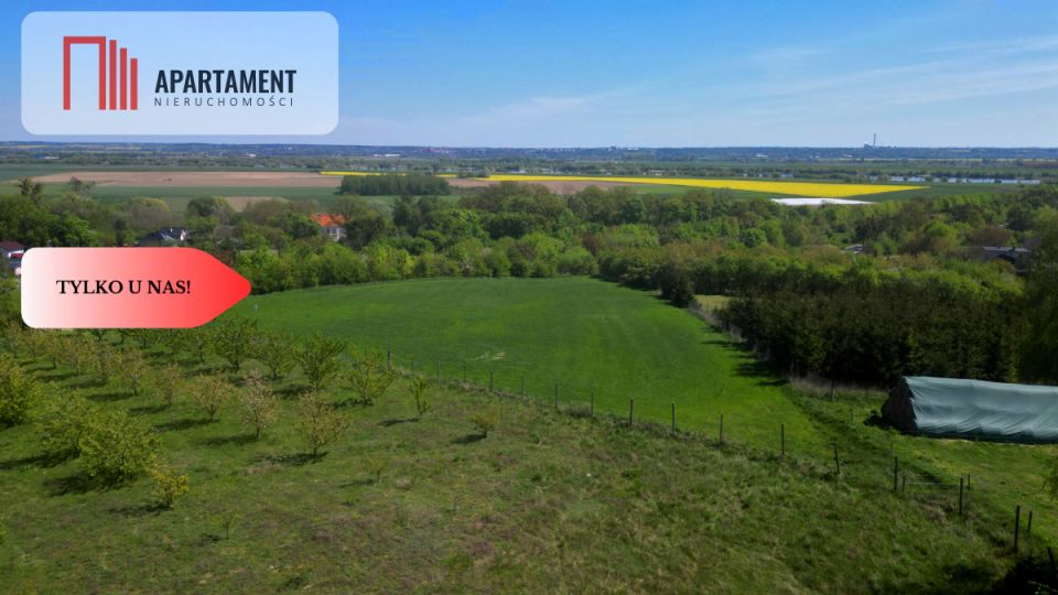 Działka Opalenie
