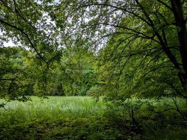 Działka inwestycyjna maruszewiec