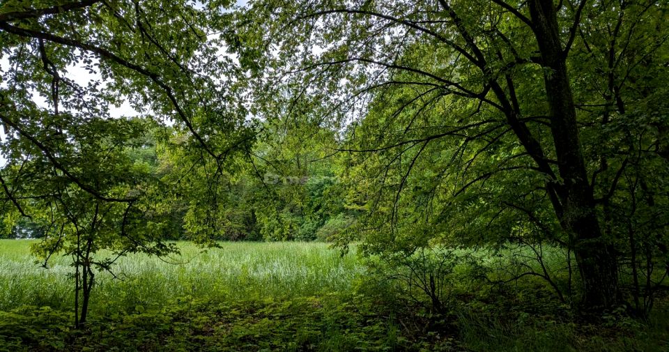 Działka inwestycyjna maruszewiec