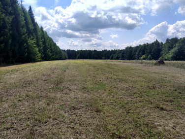 Działka Honoratów