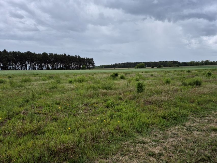 Działka budowlana Grzędzice
