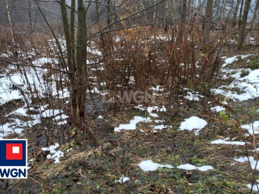 Działka Płaza
