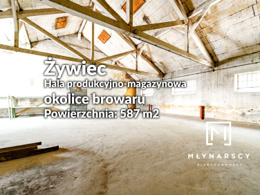 Budynek użytkowy Żywiec