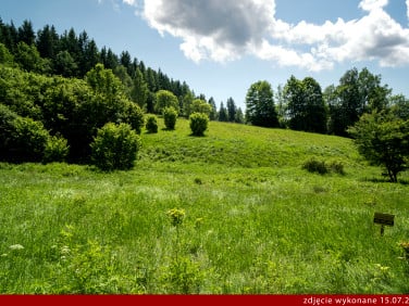 Działka Orłowiec