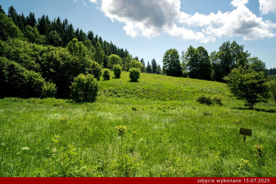 Działka Orłowiec