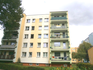 Mieszkanie Zielona Góra