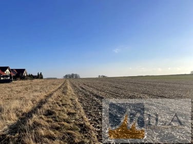 Działka usługowa Czułówek