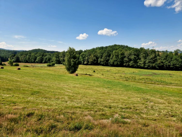Działka Marciszów
