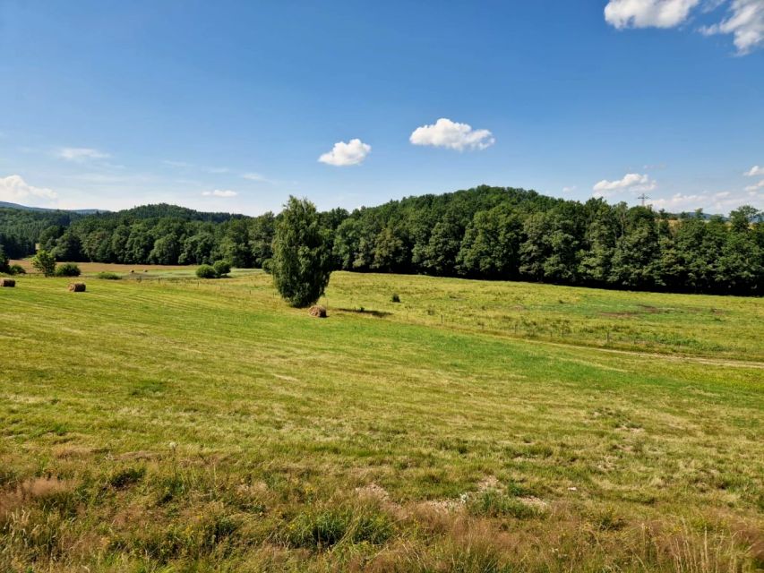 Działka Marciszów