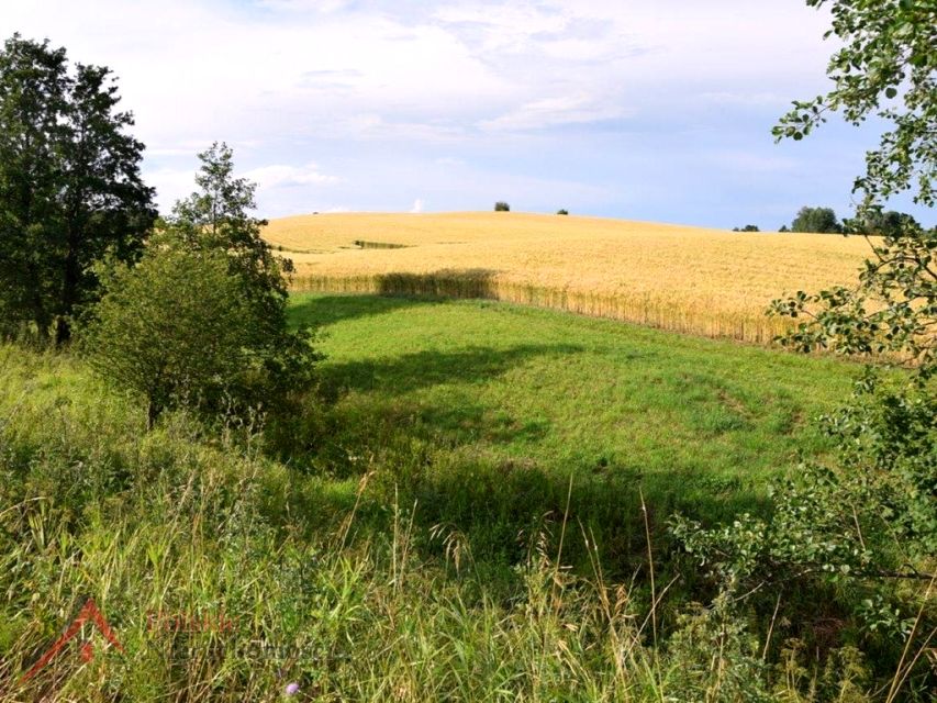 Działka rolna Budry