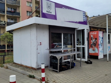 Lokal Kalisz wynajem