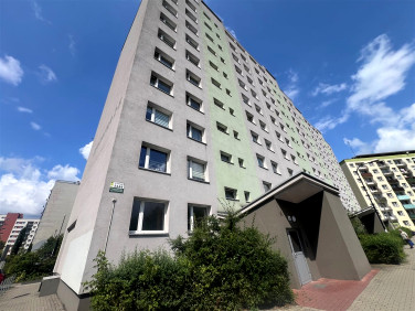 Lokal Gliwice