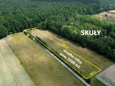 Działka Skuły
