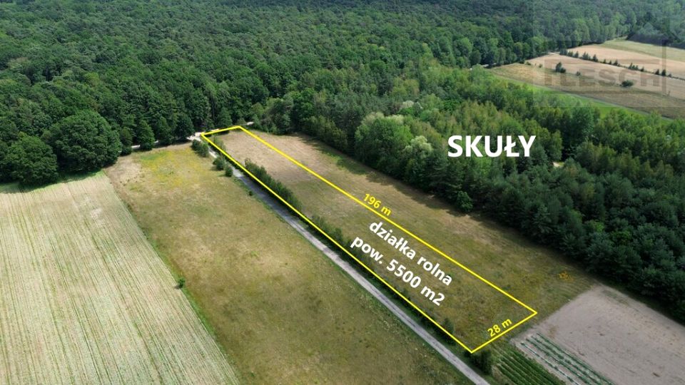 Działka Skuły