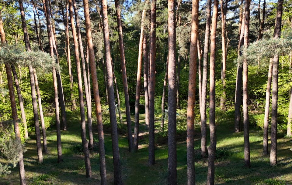 Działka budowlana Sokolniki-Las