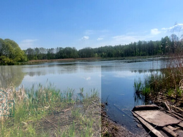 Działka nad jeziorem