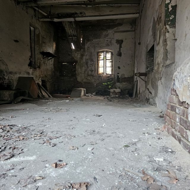 Lokal Strzegom