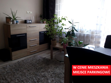 Mieszkanie Kielce