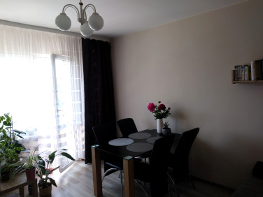 Mieszkanie Kielce sprzedaż