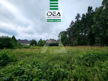 Działka Kobylarnia