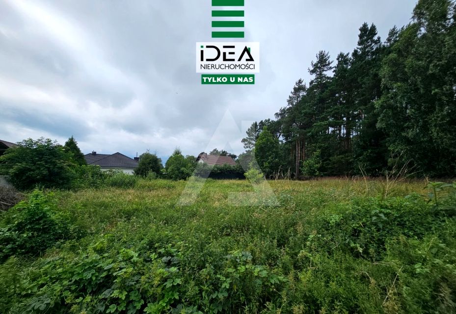 Działka Kobylarnia