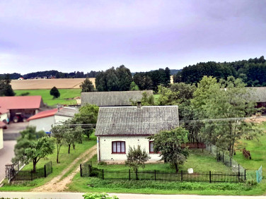 Dom Pniewo-Kolonia