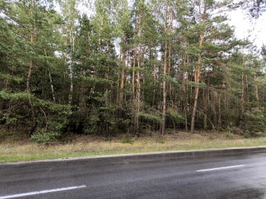 Działka budowlana sprzedam