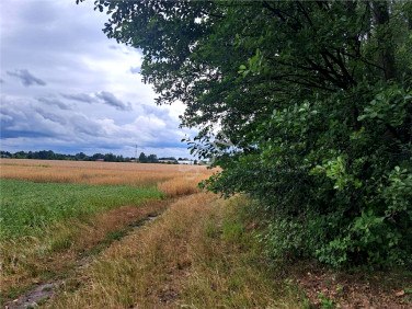 Działka budowlana Boryszew