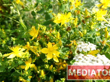 Działka budowlana sprzedam