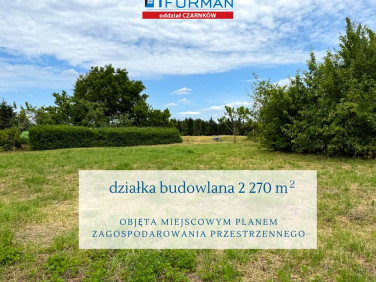Działka Lubasz