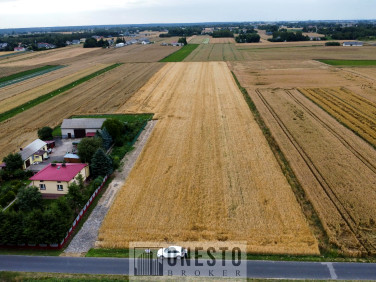 Działka Nasutów