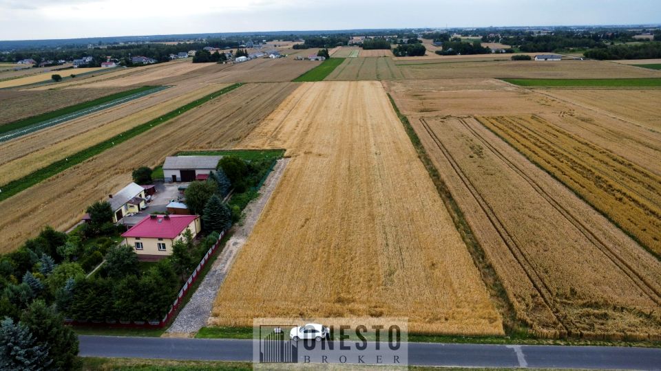 Działka Nasutów