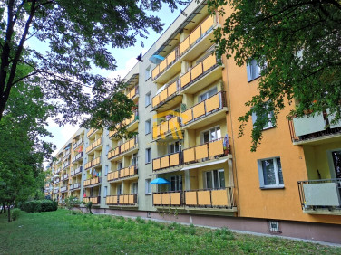 Mieszkanie Radom