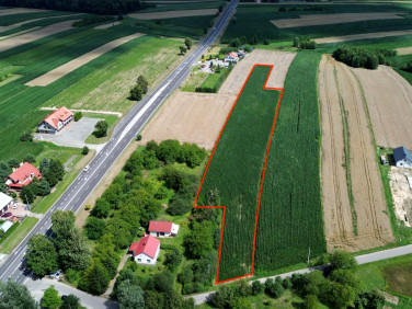 Działka budowlana Rogóżno