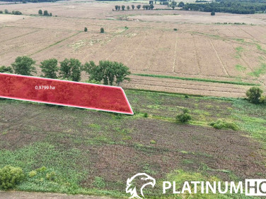 Działka rolna Zielona Góra