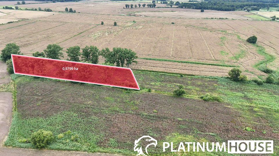 Działka rolna Zielona Góra