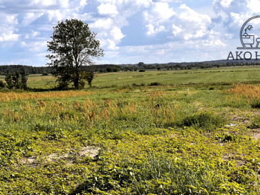 Działka Jaworówka