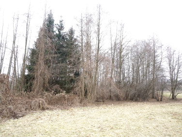 Działka budowlano-rolna Chotyniec