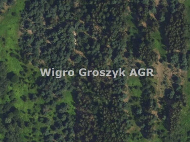 Działka rolna Wojcieszyn
