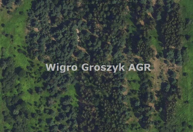 Działka rolna Wojcieszyn