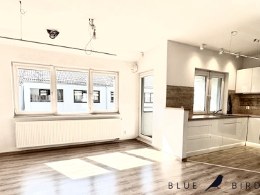 Mieszkanie Wrocław sprzedaż