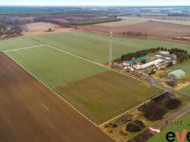 Działka Miłocice