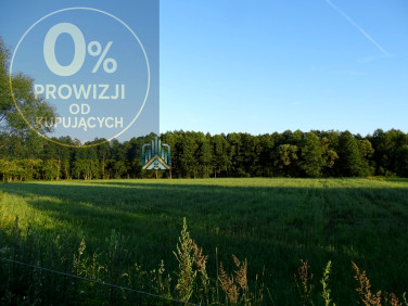 Działka Podwysokie Jeleniewskie