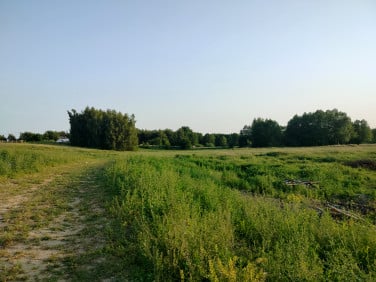 Działka budowlana Piaski