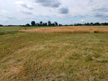 Działka budowlana Bednary